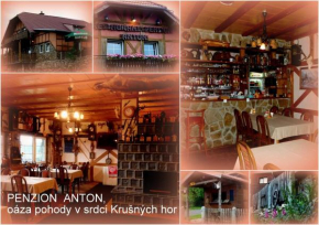 Restaurant Pension-Anton Jáchymov